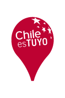 Alianza PasajeBus Chile es Tuyo